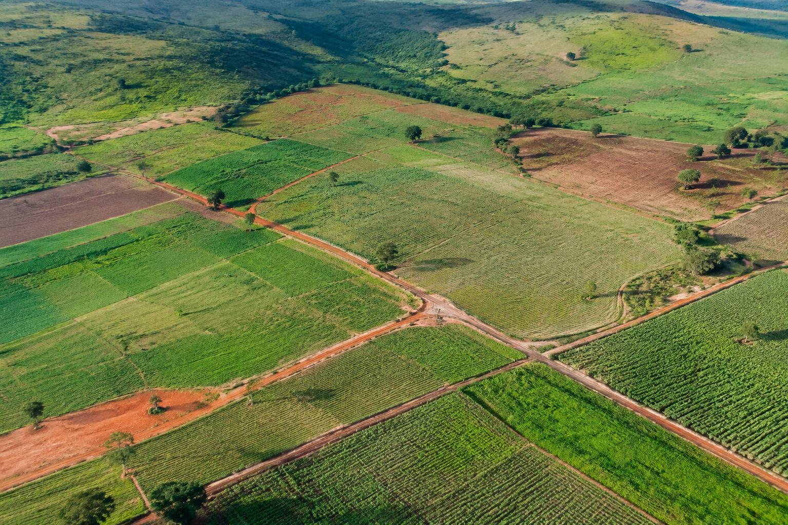 Aerial view of farmland and survey terrain in West Africa